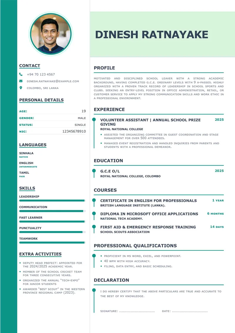 Professional classic-charm-cv200 Layout Template for Corporate Job Applications