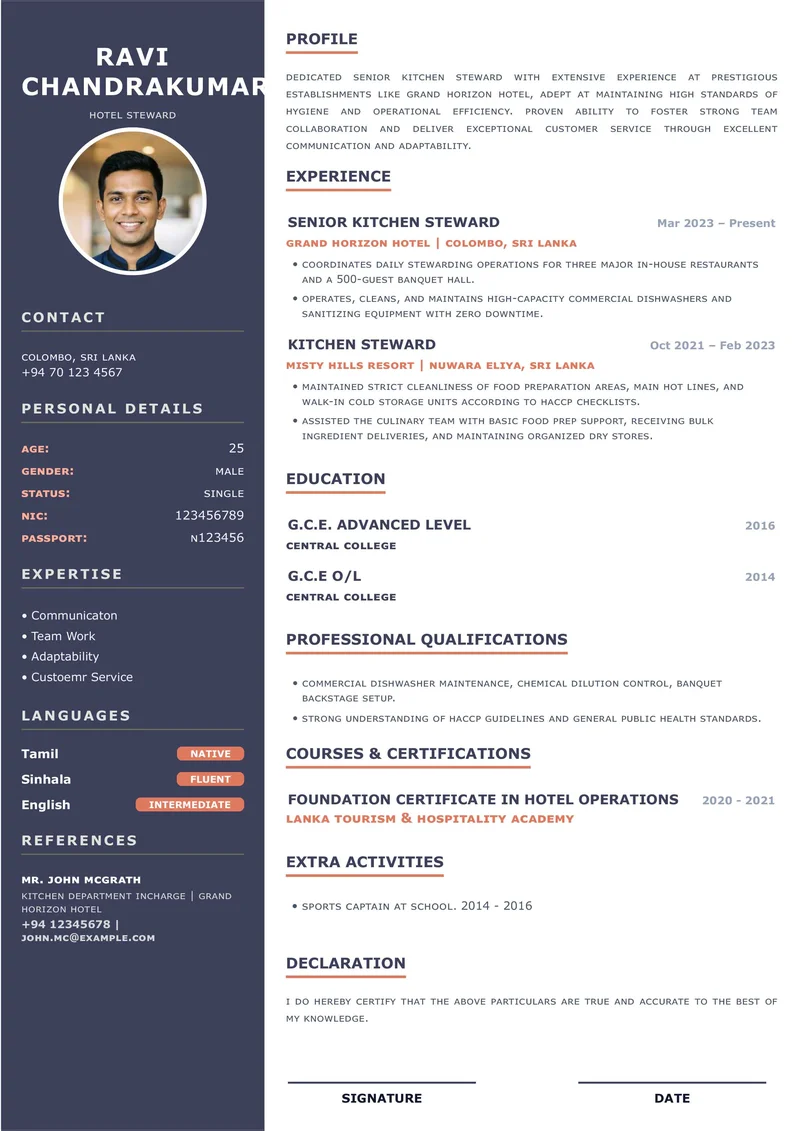 Professional cv200-starter1 Layout Template for Corporate Job Applications